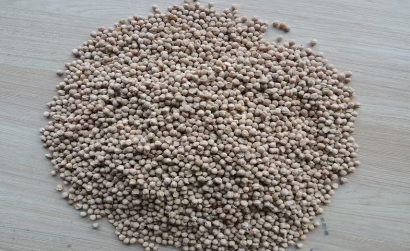 鹰嘴豆黑鹰嘴豆黄鹰嘴豆规格齐全颗粒饱满量大从优
