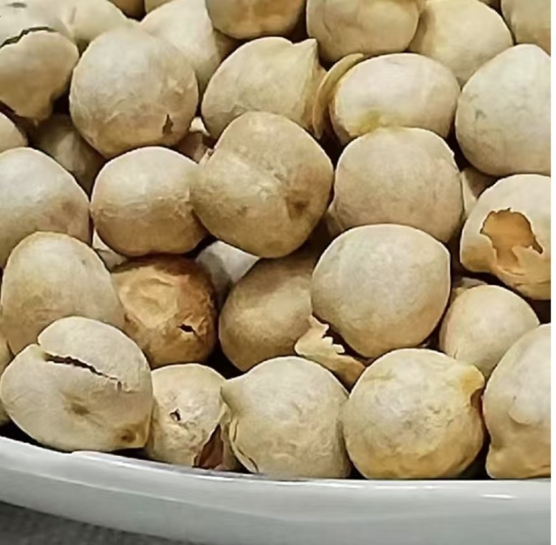 鹰嘴豆黑鹰嘴豆黄鹰嘴豆规格齐全颗粒饱满量大从优