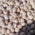 鹰嘴豆黑鹰嘴豆黄鹰嘴豆规格齐全颗粒饱满量大从优