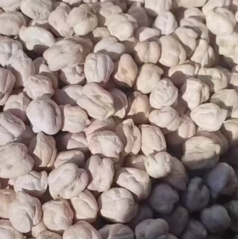 鹰嘴豆黑鹰嘴豆黄鹰嘴豆规格齐全颗粒饱满量大从优