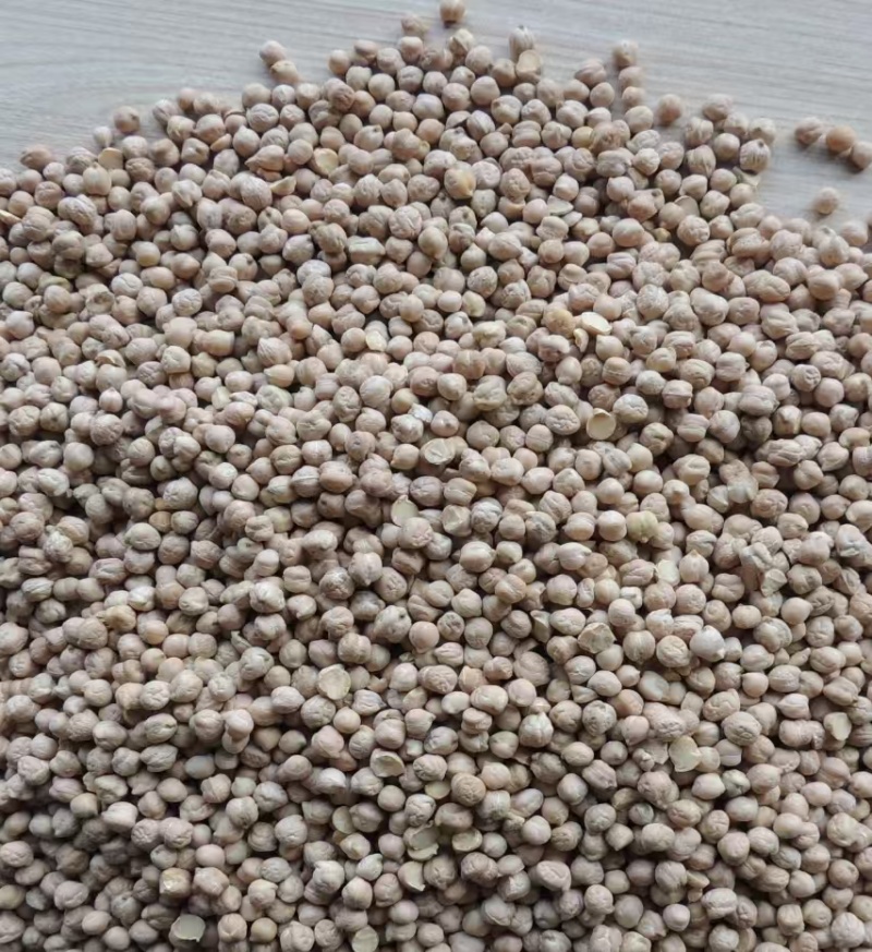 鹰嘴豆黑鹰嘴豆黄鹰嘴豆规格齐全颗粒饱满量大从优