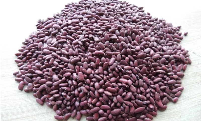 红腰豆大量上货品质好产地直供欢迎联系