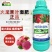 施力龙火龙果膨果膨大素火龙果叶面肥增产素