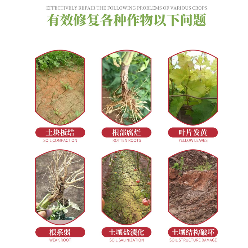 正品矿源黄腐酸钾调酸碱生根壮苗含腐植酸水溶肥叶面肥