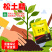 土壤调理剂松土精疏松剂板结盐碱重茬免深耕松土保水保肥剂