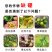 硼肥流体硼液体硼糖醇硼高含量促花芽分化提高座果微量元素