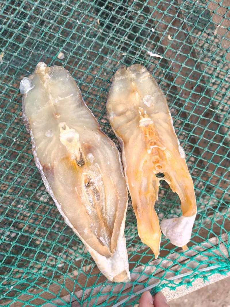 马友鱼干，一件代发，自己家晒场，欢迎各位老板选购。
