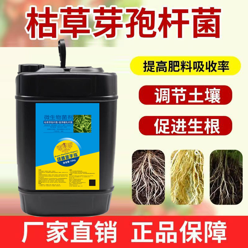 枯草芽孢杆菌桶装水溶肥料冲施肥微生物菌剂正牌蔬菜果树生