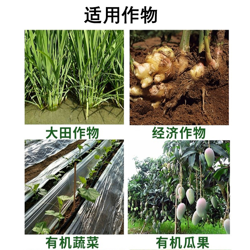 施力龙快速生根液多肉植物移栽水培专用强力发根水溶肥肥料