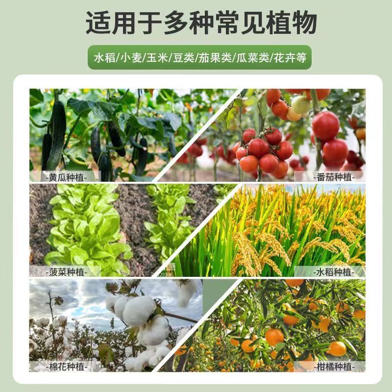 叶绿素氨基酸叶面肥盆栽花卉园艺瓜果蔬菜提苗壮棵叶片增绿水