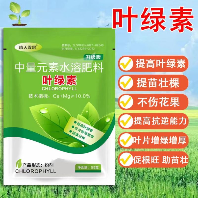 叶绿素氨基酸叶面肥盆栽花卉园艺瓜果蔬菜提苗壮棵叶片增绿水