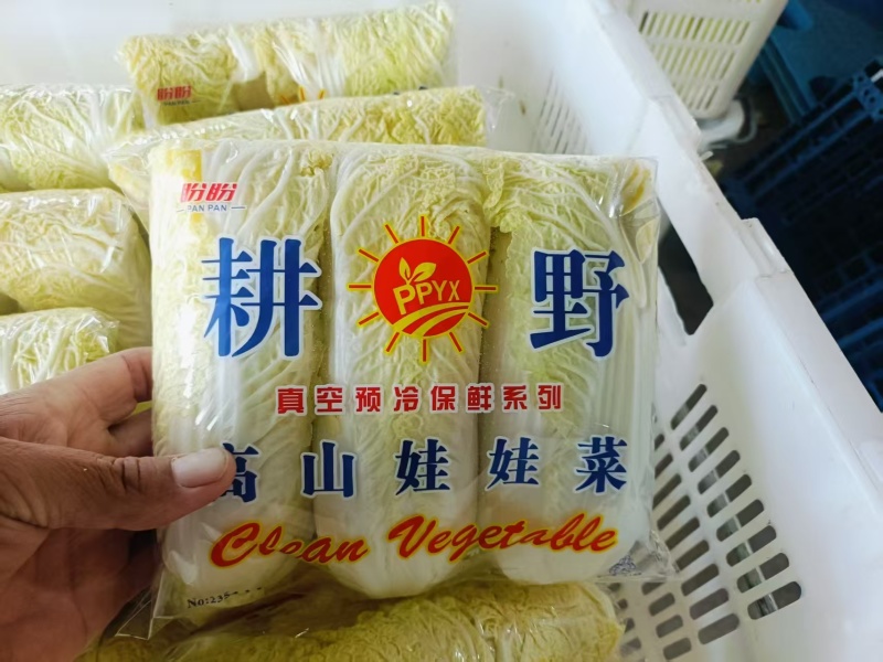 河南娃娃菜产地对接电商市场商超可视频看货保证质量