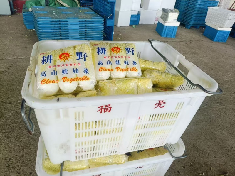 河南娃娃菜产地对接电商市场商超可视频看货保证质量