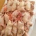 肉鸽白条鸽自家工厂直供/对接批发代收代卖商场超市采购市场等