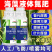 海藻液体氮肥缓释液氮肥小麦玉米水稻蔬菜农用代替尿素高氮