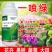 一喷绿叶面肥通用氨基酸中微元素水溶肥果树蔬菜绿植花卉喷施