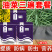 油菜套餐油菜三遍药油菜组合套专用叶面肥粒粒饱生根壮苗抗病