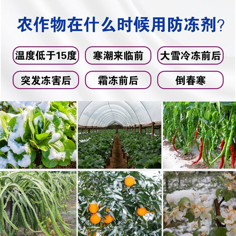 植物防冻剂植物防冻液抗冻抗寒剂果树蔬菜大田叶面肥