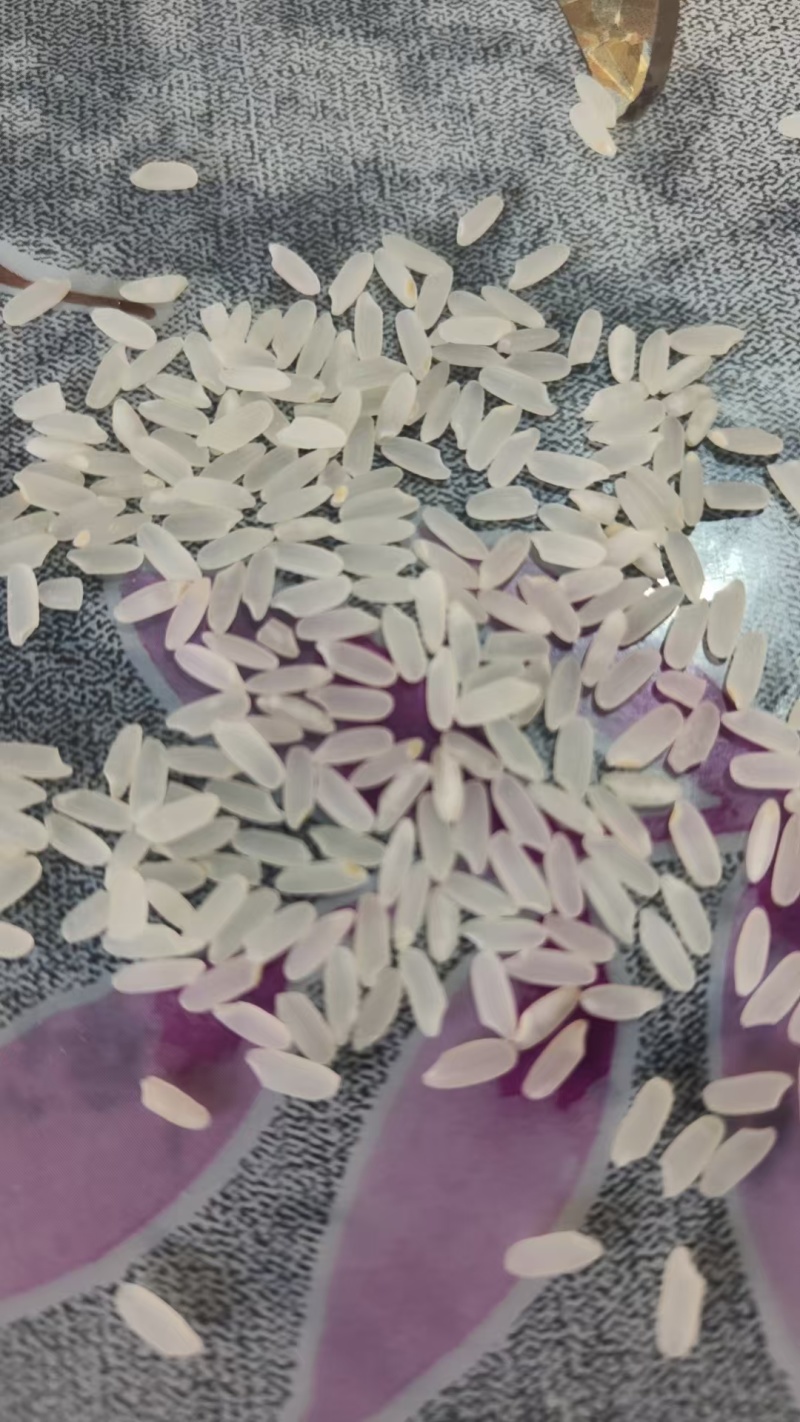 佳保农家小柒月：一碗鲜米，藏着黑土的温度、爱情的暖与时光
