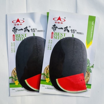 帝一瓜黑皮甜王西瓜种子中早熟抗病黑皮大红瓤西瓜种子糖度高