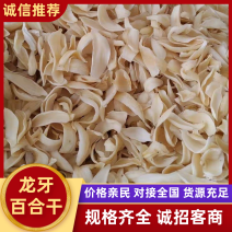 龙牙百合干、无硫磺百合干、无黑斑保质保量按需下单图片真实