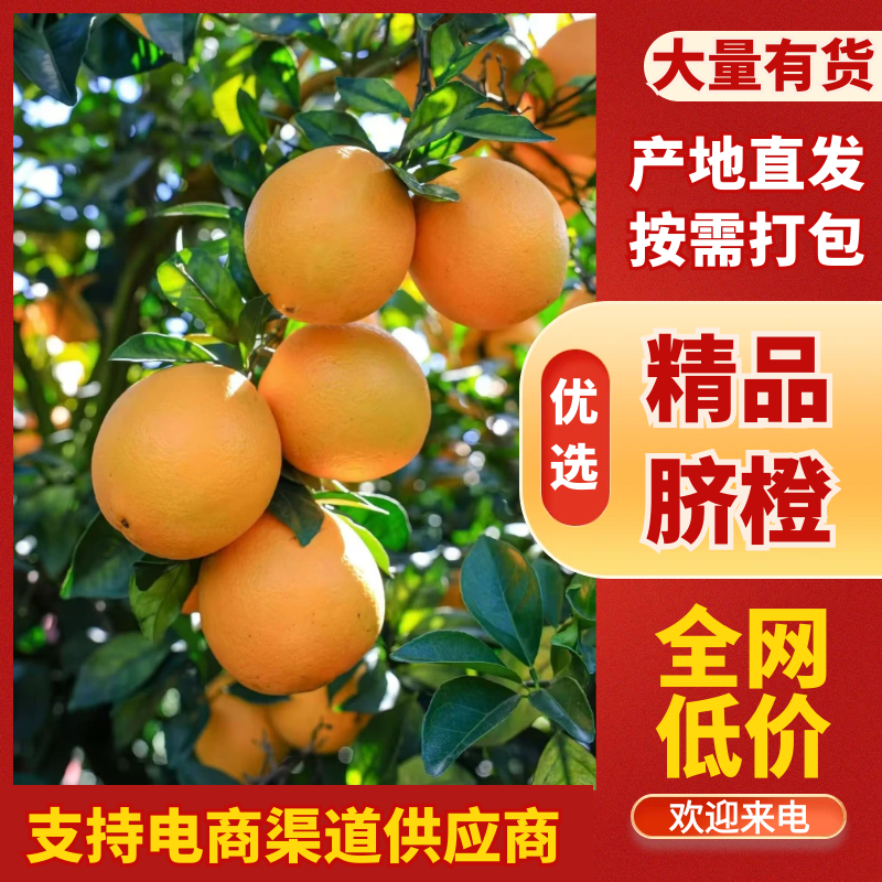【推荐】赣南高山精品脐橙规格齐全质量保证诚信经营