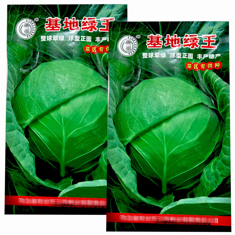 基地绿王甘蓝种子甘兰包菜杂交一代甘蓝种子10g菜区**