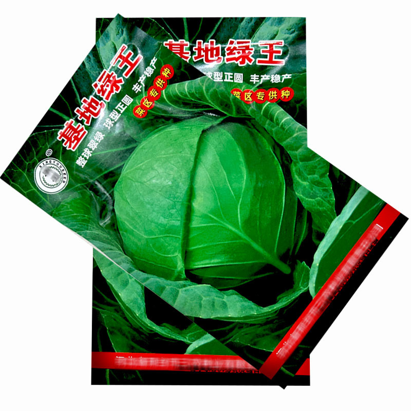 基地绿王甘蓝种子甘兰包菜杂交一代甘蓝种子10g菜区**