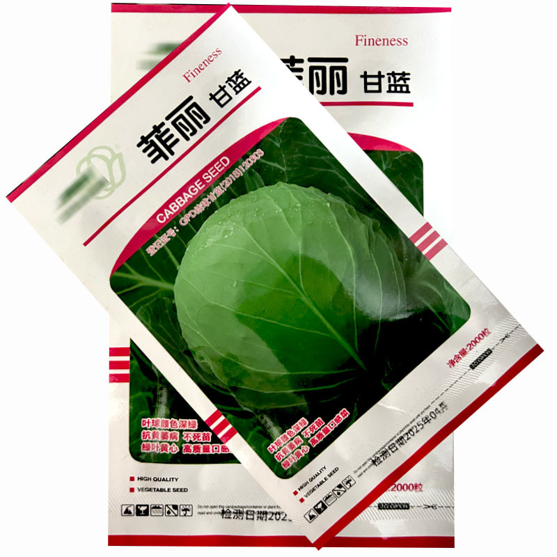天津金木茂和菲丽甘蓝种子抗黄萎病不休眠甘蓝籽口感甜脆早熟
