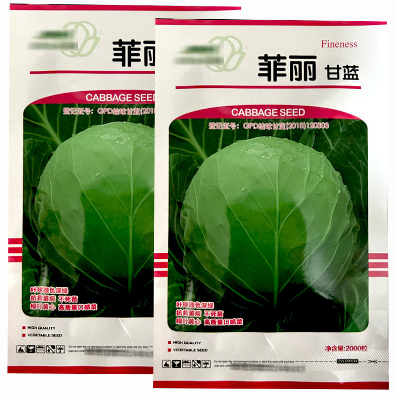 天津金木茂和菲丽甘蓝种子抗黄萎病不休眠甘蓝籽口感甜脆早熟