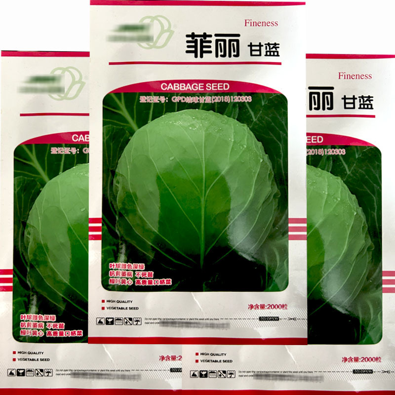 天津金木茂和菲丽甘蓝种子抗黄萎病不休眠甘蓝籽口感甜脆早熟