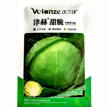 津赫甜脆种子水果型甘蓝种子脆嫩无渣圆球形早熟包菜卷心菜种