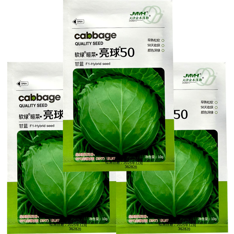 软绿喧菜亮球50甘蓝种子绿包菜种籽叶球深绿球型正圆光亮早
