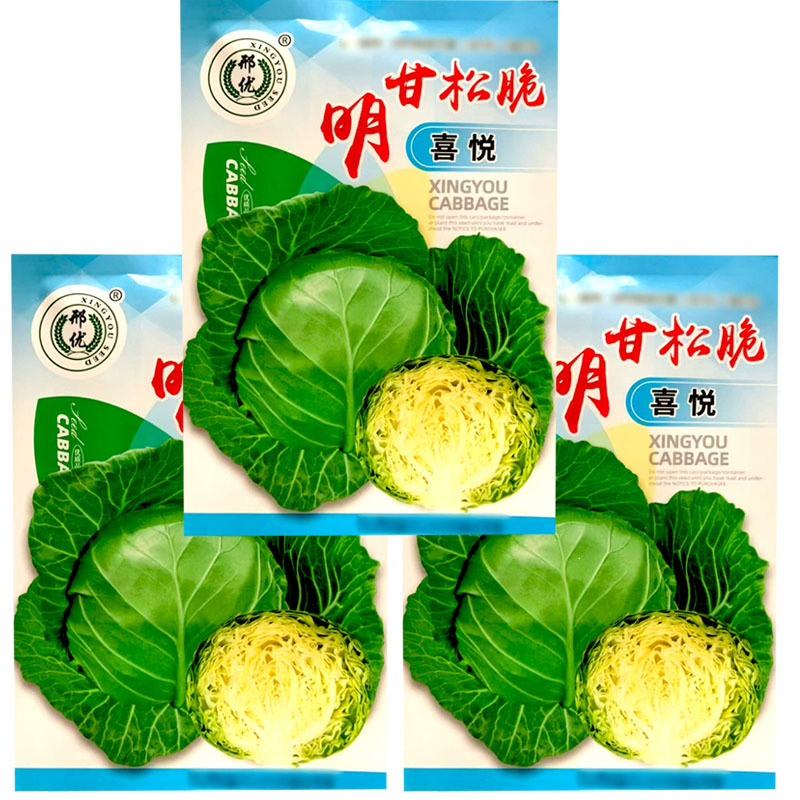 明甘松脆喜悦甘蓝种子卷心菜早熟口感型黄芯松软球翠绿色大田