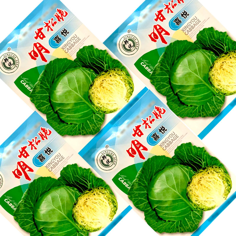 明甘松脆喜悦甘蓝种子卷心菜早熟口感型黄芯松软球翠绿色大田