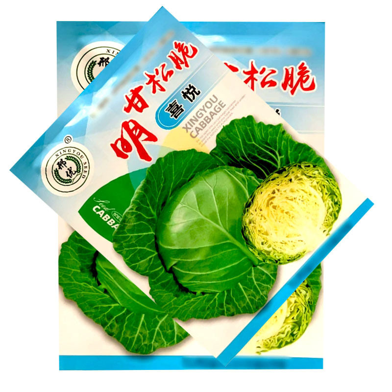 明甘松脆喜悦甘蓝种子卷心菜早熟口感型黄芯松软球翠绿色大田