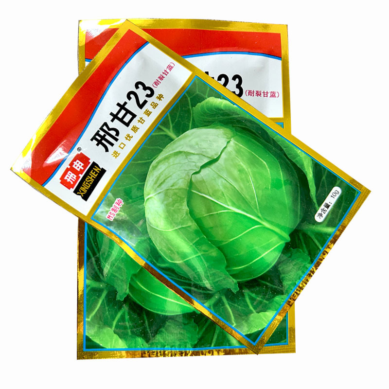 邢申邢甘23甘蓝种子夏季耐热圆包菜卷心菜包心菜结球紧实高