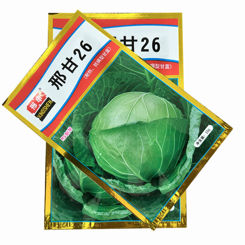 邢申邢甘26甘蓝种子圆球甘兰耐热大头莱孑绿卷心菜基地型