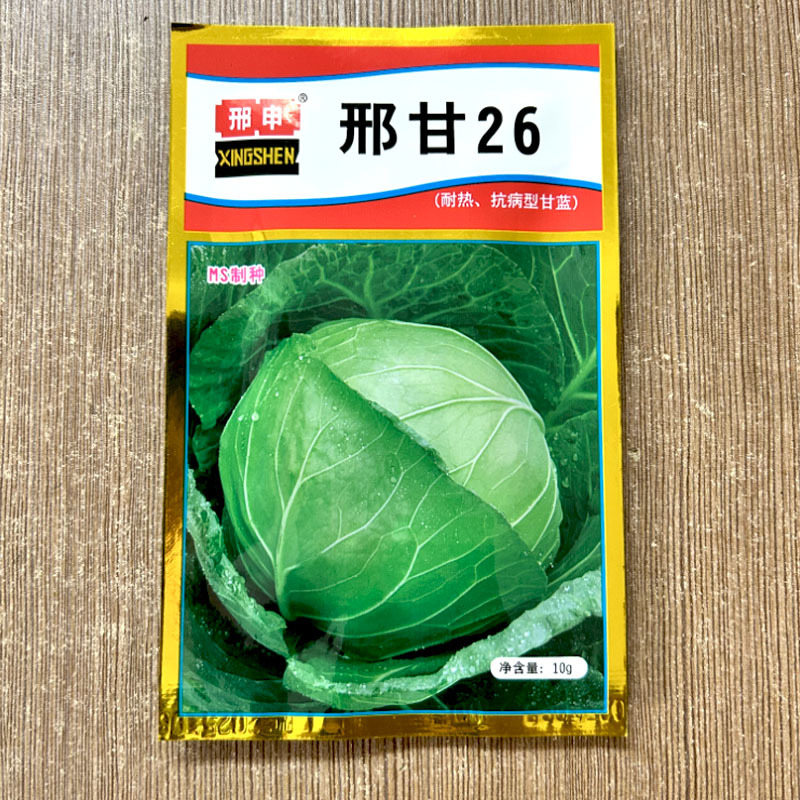 邢申邢甘26甘蓝种子圆球甘兰耐热大头莱孑绿卷心菜基地型