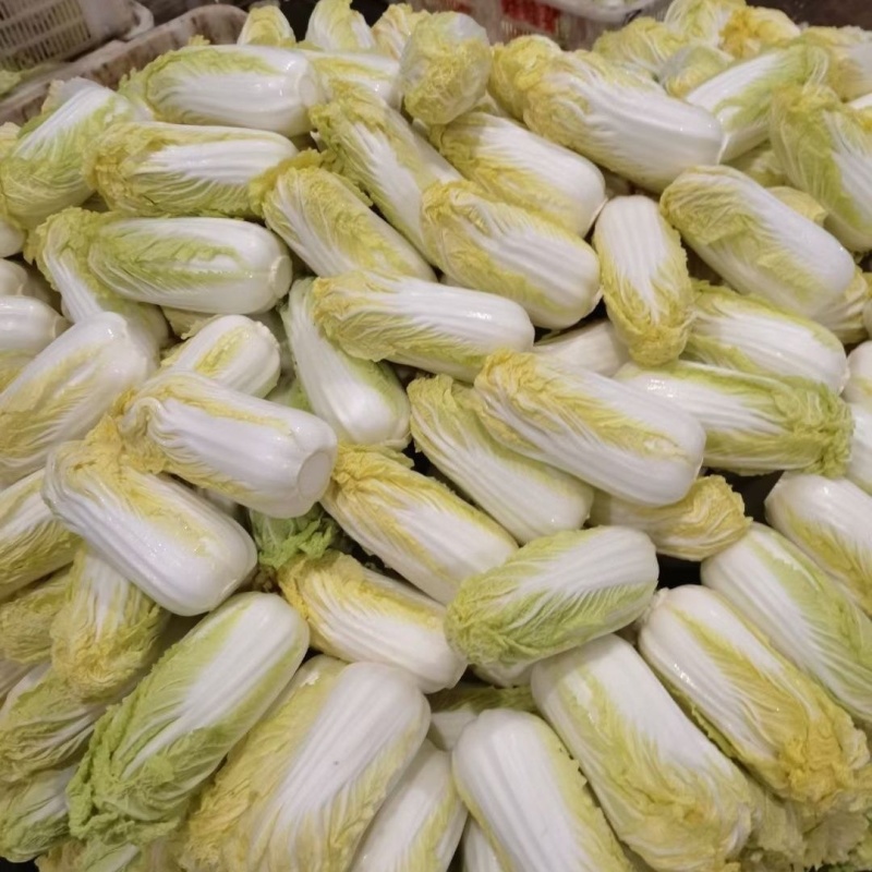 精品小娃娃菜质量保证颗颗精选无烂叶无虫眼对接商超