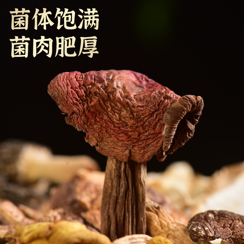 云南菌汤包七彩菌菇汤料包野生菌红菇松茸羊肚菌汤包炖鸡煲汤