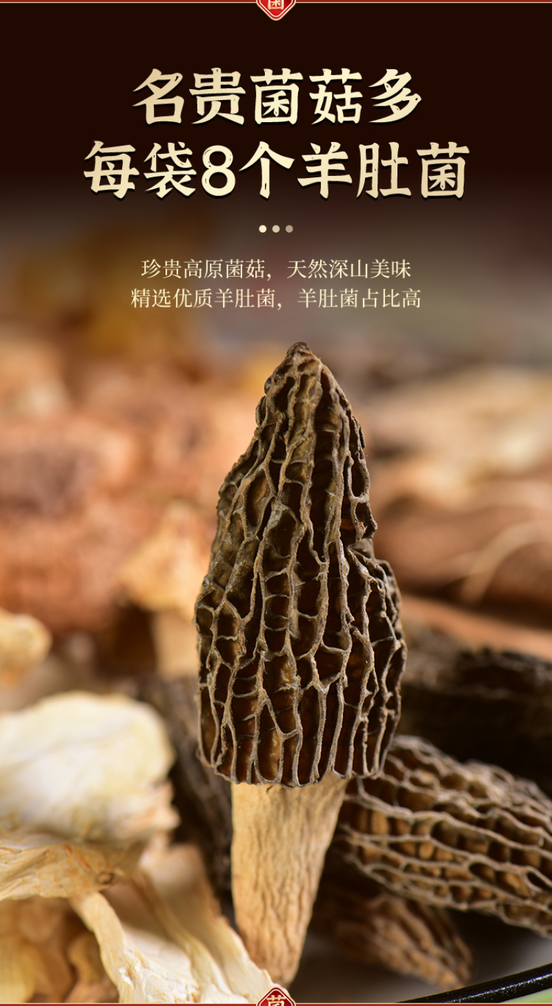 云南菌汤包七彩菌菇野生菌汤料包松茸红菇羊肚菌汤包炖鸡煲汤