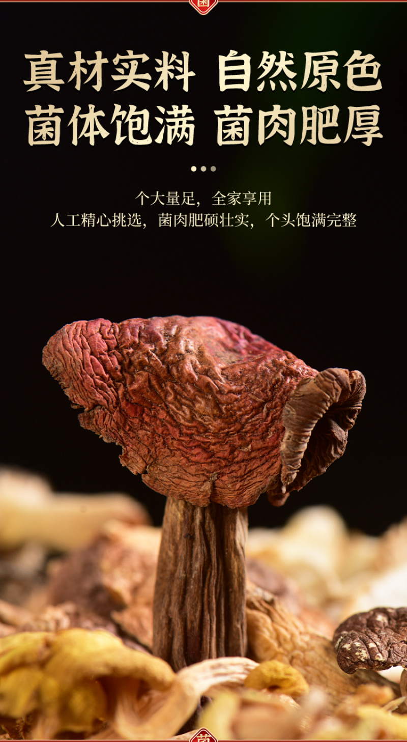 云南菌汤包七彩菌菇野生菌汤料包松茸红菇羊肚菌汤包炖鸡煲汤