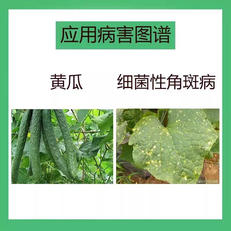3%中生菌素200g细菌病害杀菌剂穿孔角斑病溃疡病黑斑病