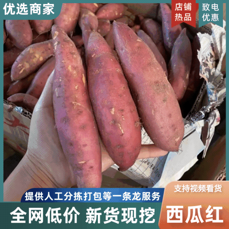 【平台直发】河南红薯-西瓜红红薯工厂货-可加工薯条红薯泥