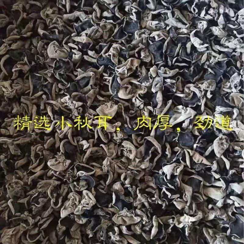 东北黑木耳口感好品质保障对接全国货源充足量大优惠