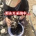 东北黑木耳口感好品质保障对接全国货源充足量大优惠