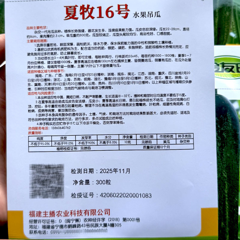 台湾水果吊瓜种子300粒水果黄瓜耐热耐湿旱瓜优质品种