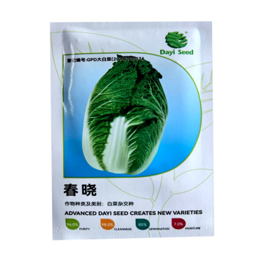 春晓白菜种子早春白菜籽耐低温结球坚实大田用种