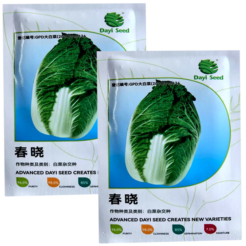 春晓白菜种子早春白菜籽耐低温结球坚实大田用种